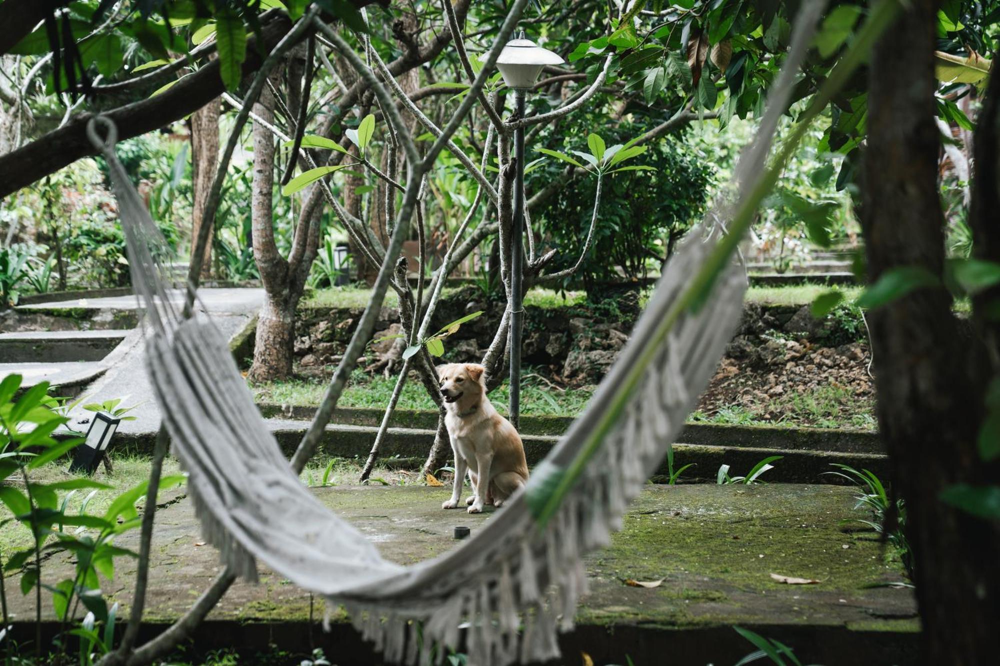 Olo Surf Nature Uluwatu Zewnętrze zdjęcie